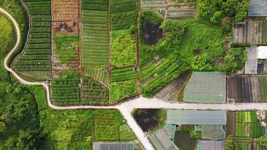 现代农田航拍