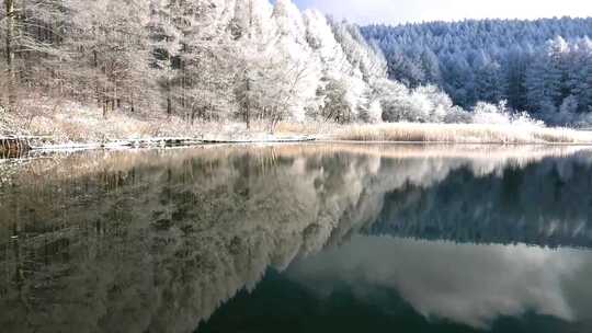 冬季湖面倒影雪景雾凇雪山森林雪景大雪茫茫视频素材模板下载