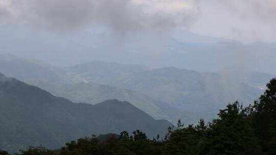 高山云雾森林