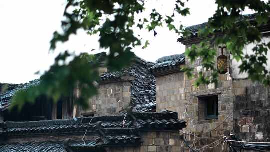 国风古建筑烟雨江南意境实拍镜头