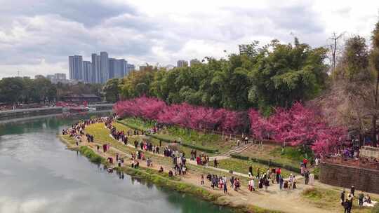 城市河流两岸风光全景