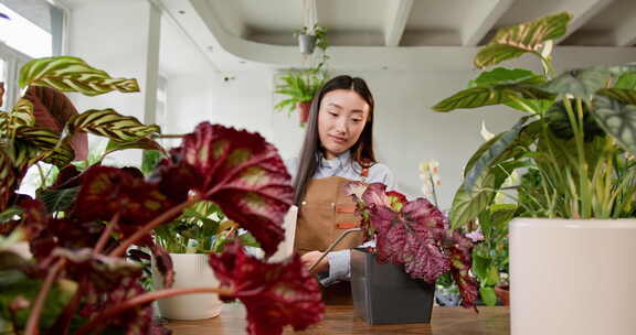 漂亮的正面花亚洲卖家拿着白色水罐浇花