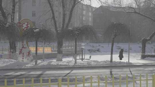 冬天道路旁光秃秃的树和被雪覆盖的城市道路视频素材模板下载