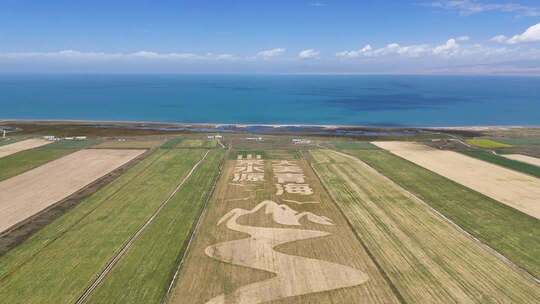 青海倒茶湖公路边的青海湖美景