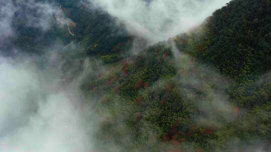 航拍延时武夷山黄岗大峡谷先锋岭云雾云海