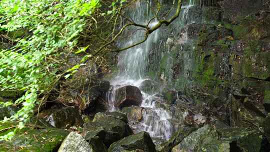 森林流水大自然小溪水瀑布山涧水源泉水山水视频素材模板下载