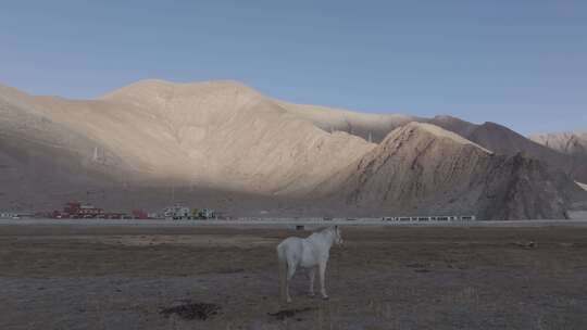 中国新疆喀什地区阿克陶县喀拉库勒湖景区