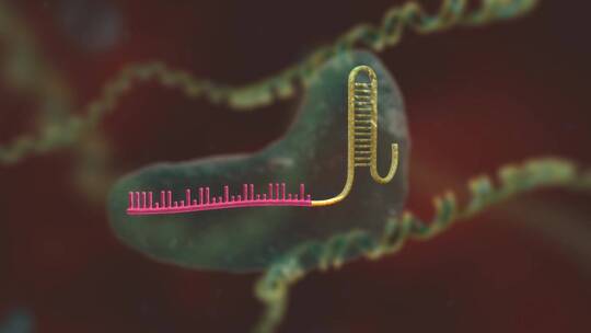 生物科学 基因编辑 DNA 基因工程 医学动画