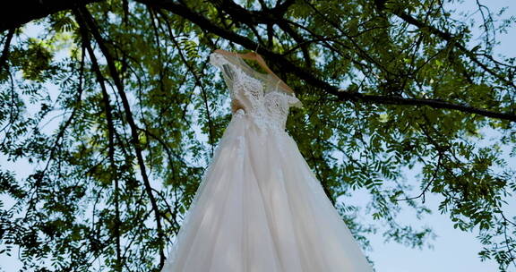 仰拍挂在树上的婚纱