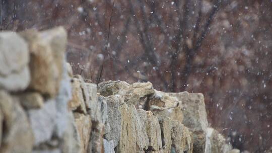 冬季雪花飘落的一道石墙