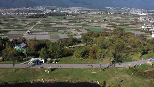 大理生态廊道游客树林农田稻田航拍