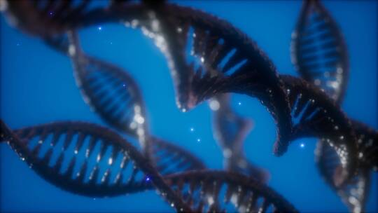 DNA双螺旋动画的结构视频素材模板下载