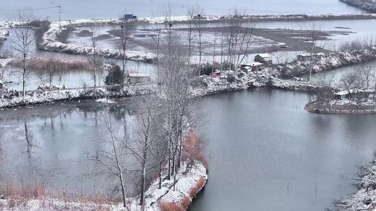 航拍乡镇池塘雪景鸟类捕食飞翔湿地栖息地