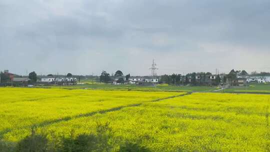 高铁车窗外油菜花村庄风景