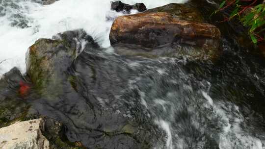 清澈河水河流水源水流溪流溪水