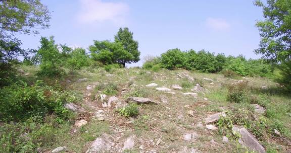 荒山野岭