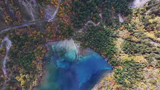 航拍九寨沟秋景彩林川西秋天原始森林五花海