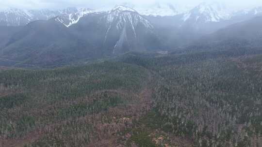 航拍云南香格里拉雪山森林草原 自然风光