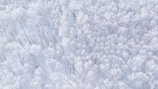 4K呼伦贝尔雪原雾凇车队行驶航拍18