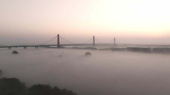 济南黄河凤凰大桥日出