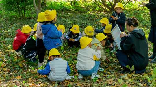 幼儿幼童小孩老师大自然户外教育体验