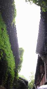 （慢镜）中国千年古镇乌镇下雨天竖版竖屏高清在线视频素材下载