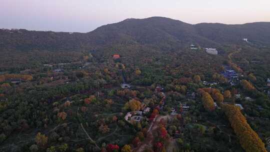 江苏南京灵山风景区前湖秋天秋色航拍