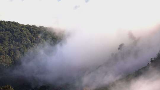 森林湖泊云海山川山脉云雾生态青山绿水