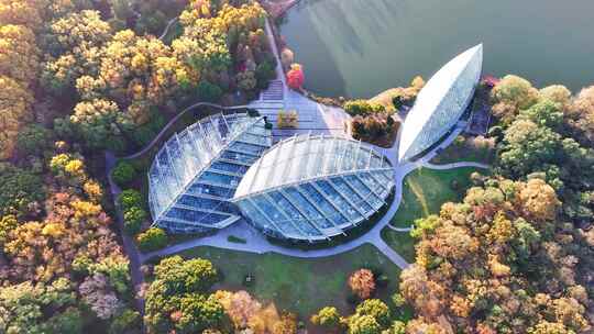 南京秋天 前湖公园 秋天 植物博物馆