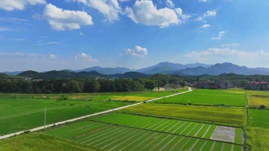 乡村振兴 美丽乡村 小康社会