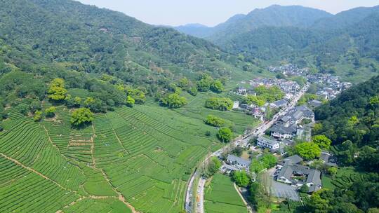 4k 航拍户外杭州高山茶园茶田自然风光