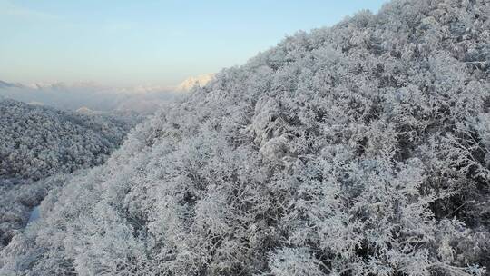 航拍湖北神农架风景区冬季雪山冰雪风光雪景视频素材模板下载