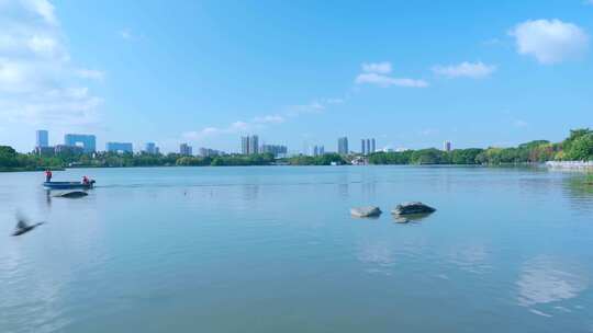 广州海珠湖公湖泊树林与城市高楼建筑景观