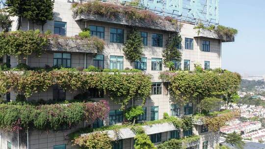佛山顺德碧桂园集团总部大楼绿植环绕的建筑