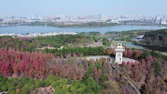 武汉江汉区藏龙岛湿地公园航拍