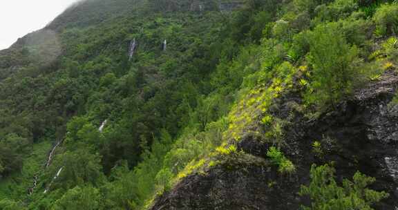 留尼汪岛，瀑布，森林，风景