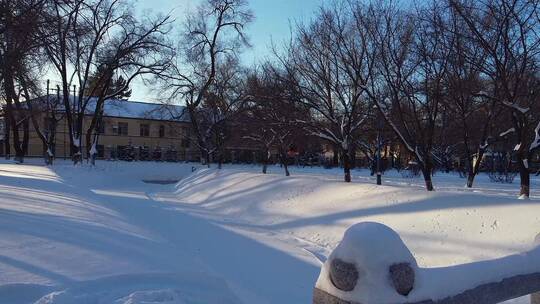 冬天公园老树小河雪景