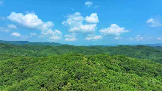 辽宁抚顺新宾青山绿水乡村振兴