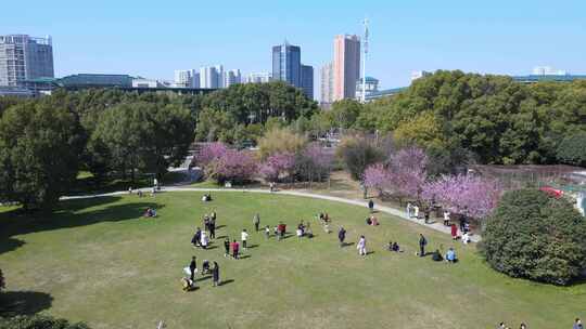 武汉大学校园航拍