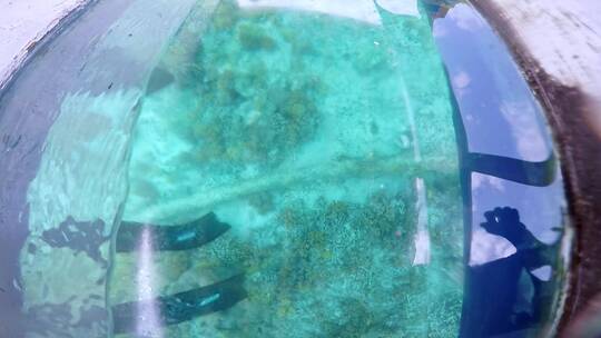 巴厘岛水下雕像浮潜视频素材模板下载
