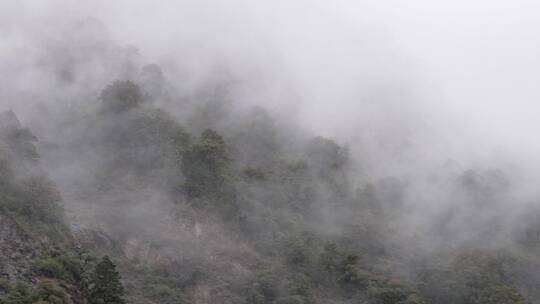 徒步天堂雨崩村自然风光