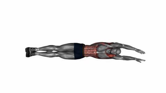 人体侧卧在地板上拉伸科学健身锻炼3D演示