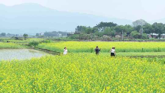 广东省韶关市曲江区樟市镇群星村