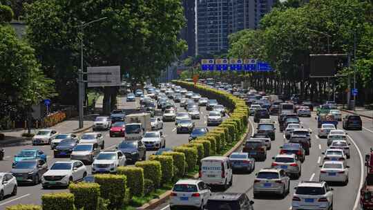 【正版素材】深圳罗沙路