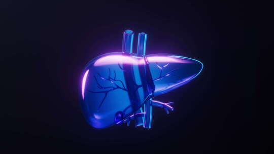 肝脏与霓虹灯光效果循环动画3D渲染
