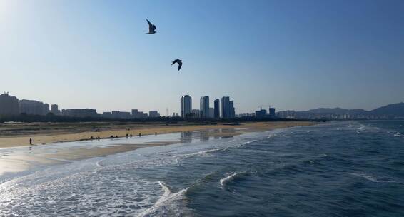 海边城市 翻滚的浪花和海鸥 合集 2