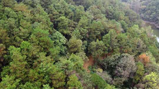 湖北武汉青龙山森林公园航拍