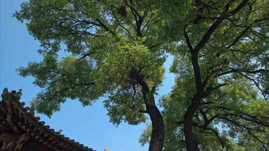 山西古建筑地标镇国寺彩塑山西