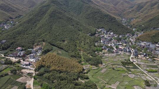 德清莫干山乡村民宿印象