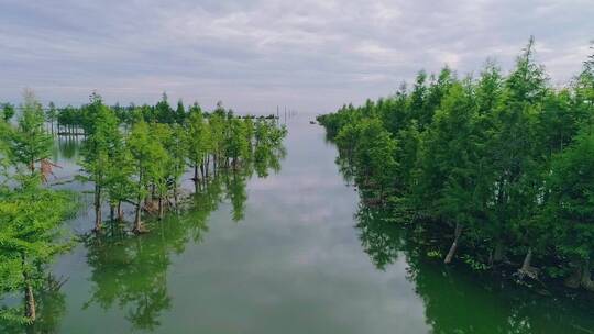 滇池南岸（海埂村）航拍